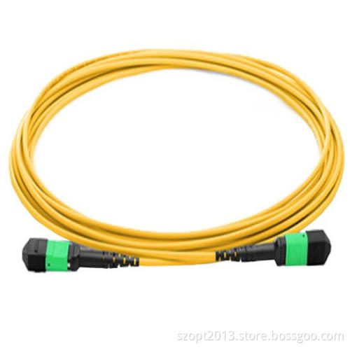 Fiber Optic Patch Cord MPO-MPO SM